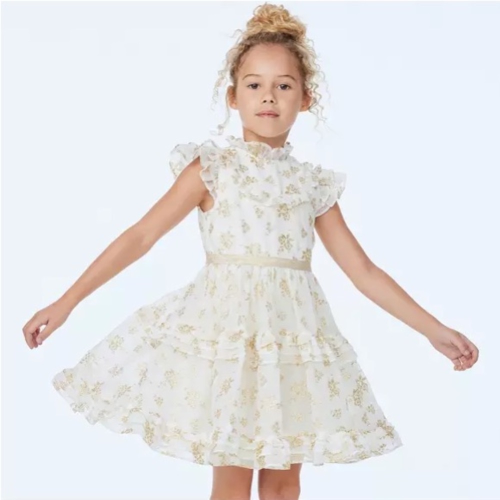 EUC Janie and Jack ‘The Sparkle Holiday Dress’ Gold Metallic Floral Ruffle